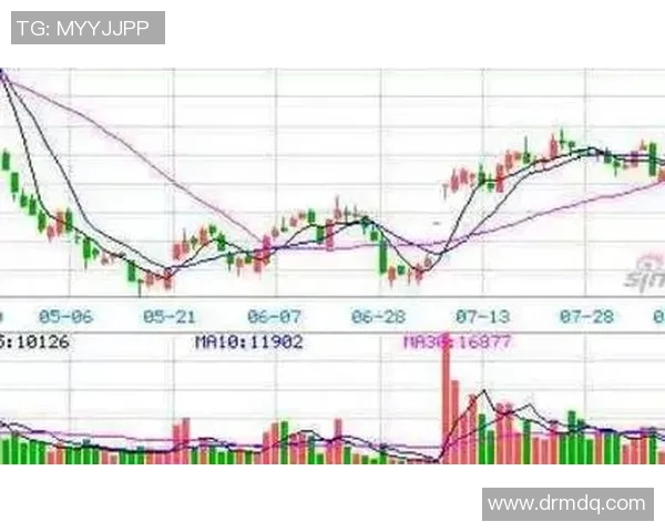 上海排球队战术解析：构建高效控制体系的策略与实践