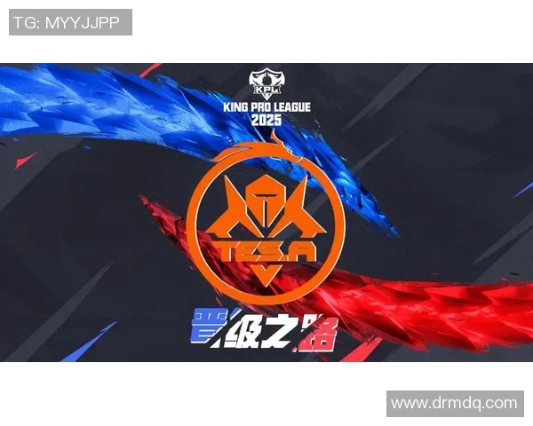 TES反击之路：荣耀背后的得失与启示分析